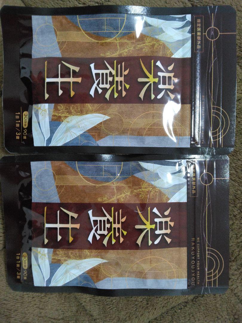 楽養生