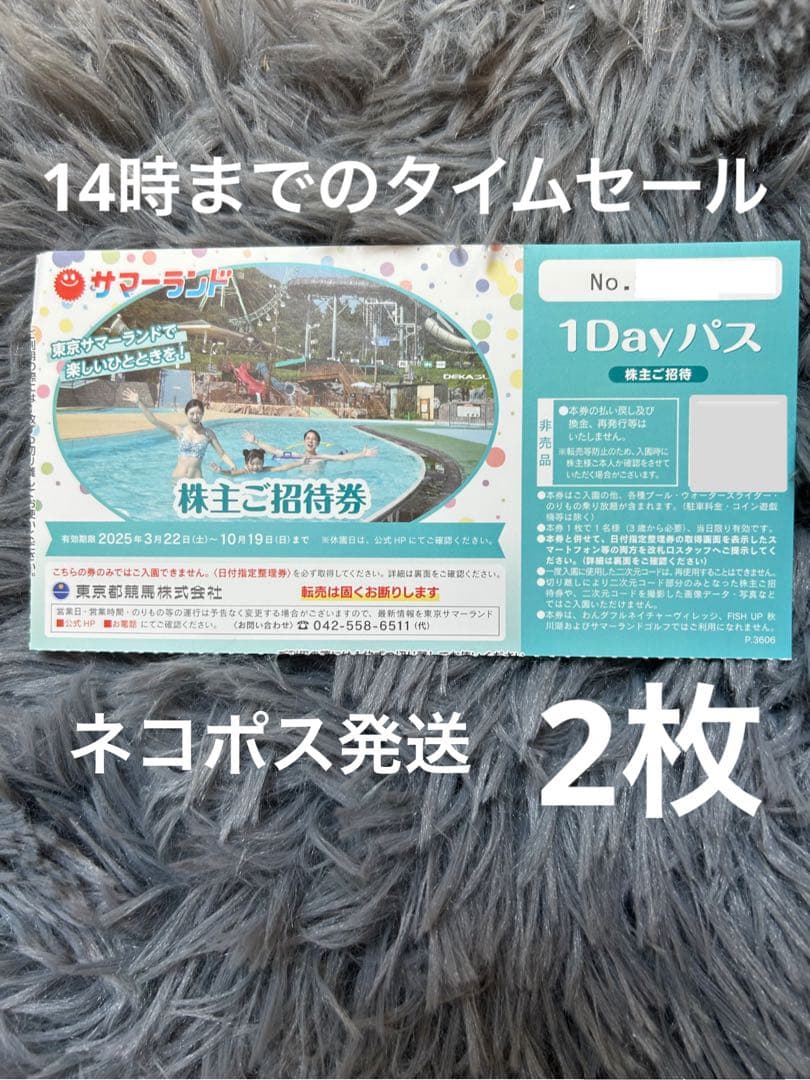 即発送【２枚】東京サマーランド １DAYパス・フリーパス / 最新版 1Dayパス チケット 都内即日発送 枚数増減可能 夏サマーランド プール