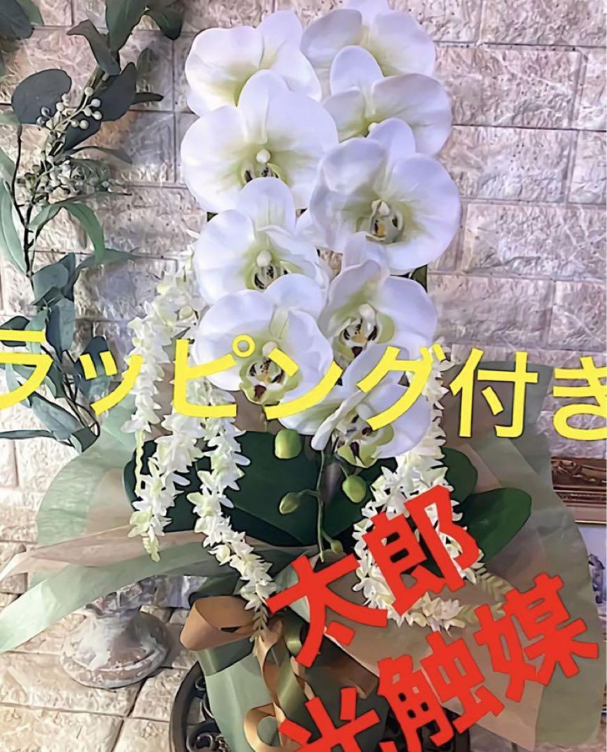 光触媒　人工観葉植物　ウォールグリーン　フェイクグリーン　リアル胡蝶蘭wg67
