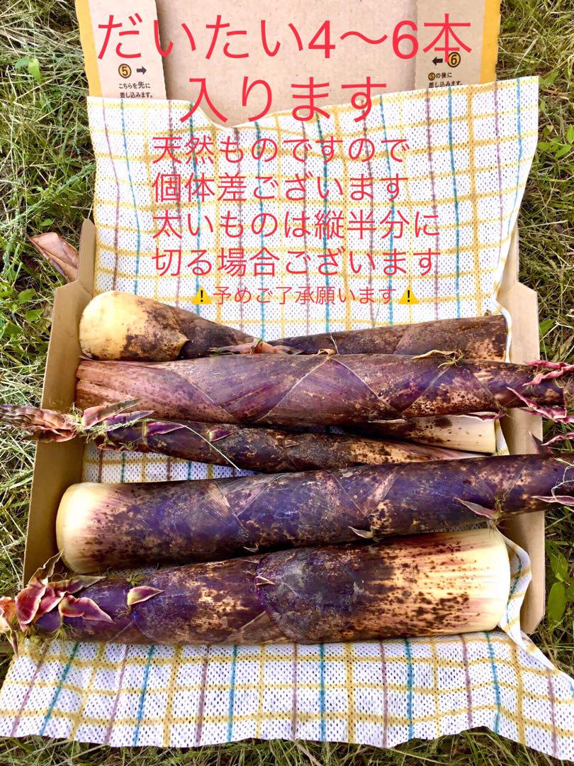 ⚠️まあちゃん様ご専用ページ⚠️ 他のお方はご購入やコメント出来ません⚠️