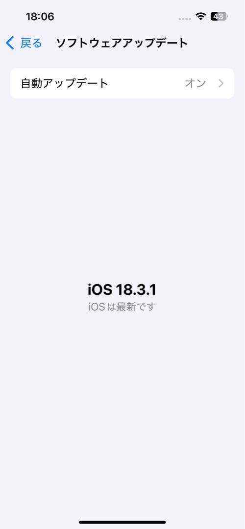 iPhone 13 128GB Green 本体 充電器 ケース付き