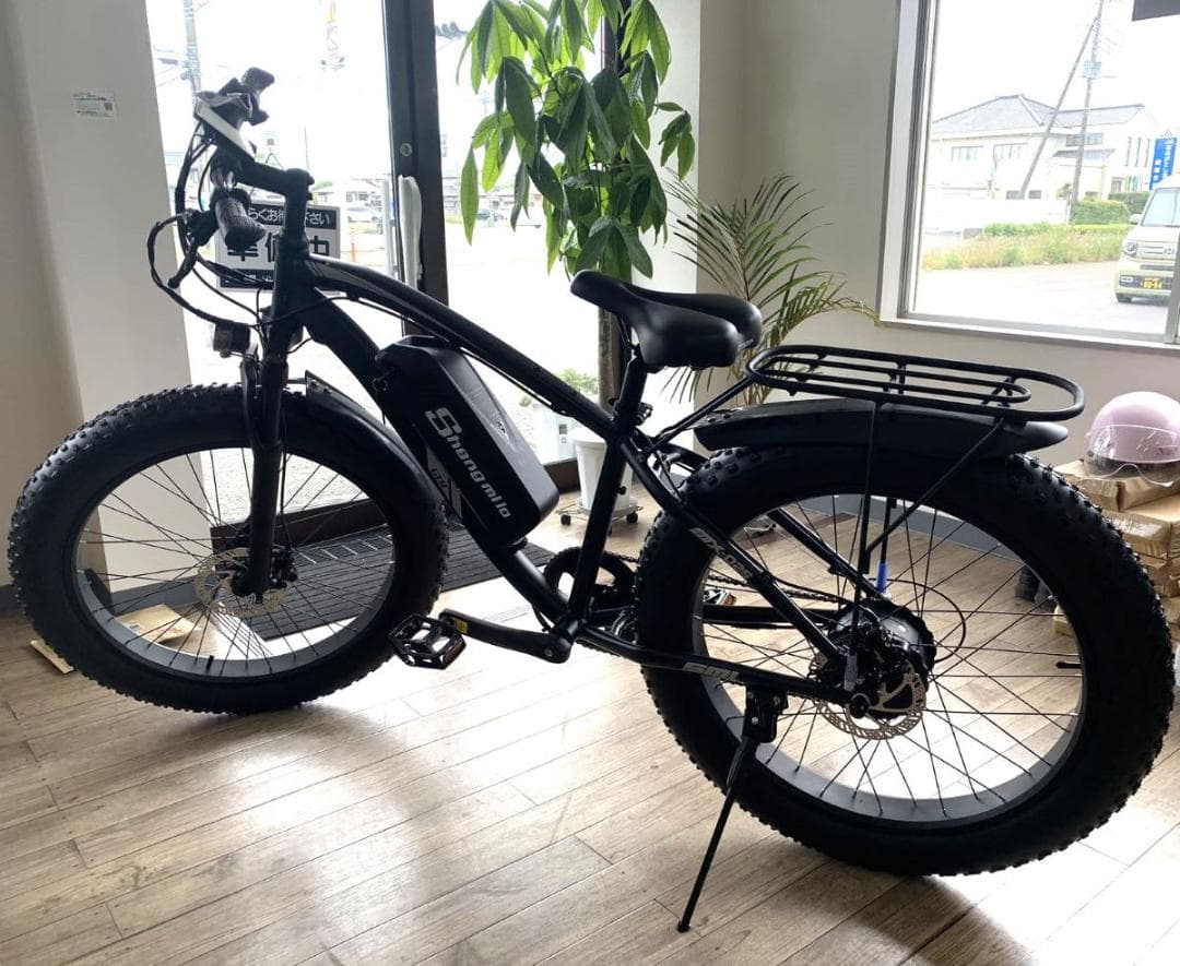 最強パワー電動アシスト ファットバイク