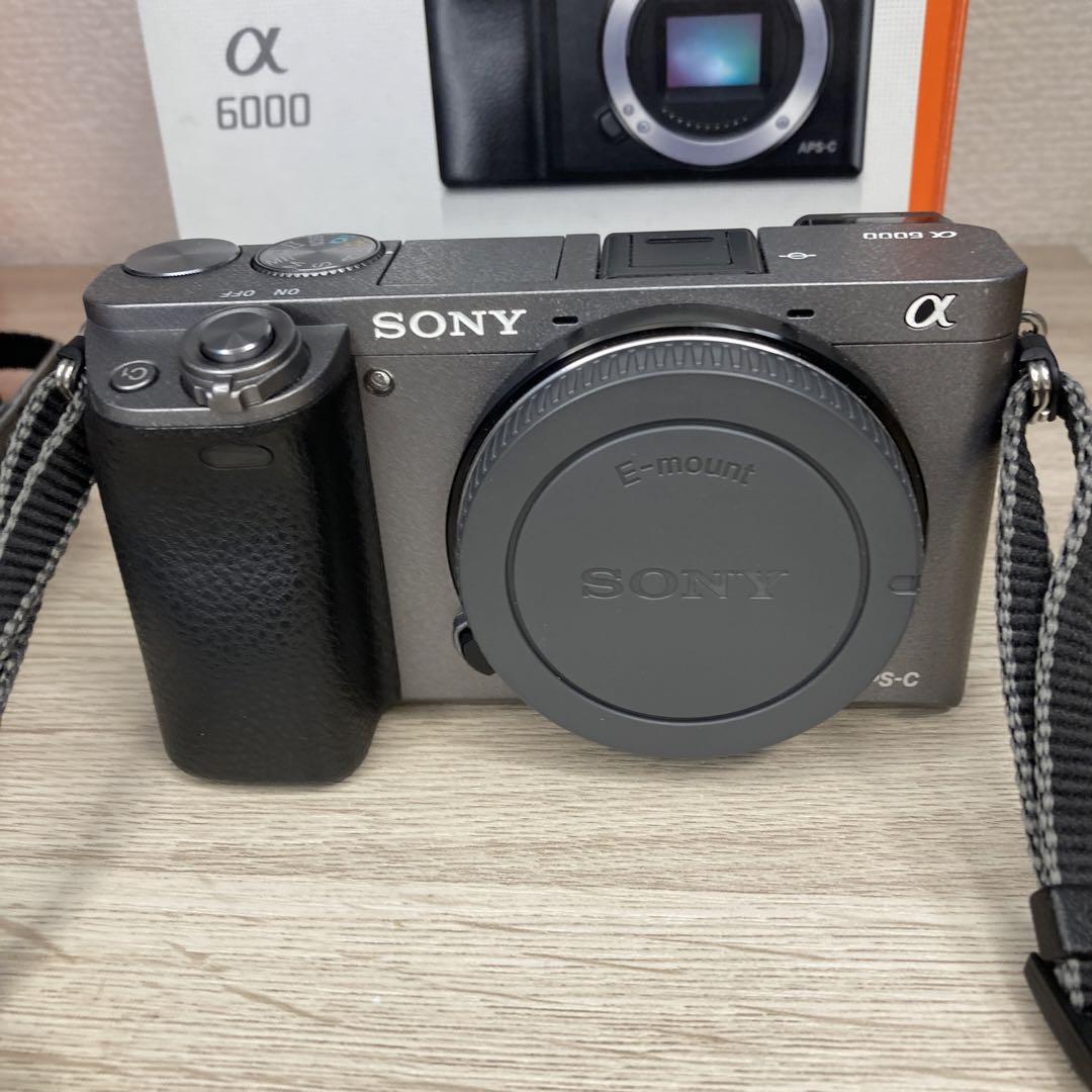 SONY ILCE-6000 　SELP1650 BC-TRW 　など一式