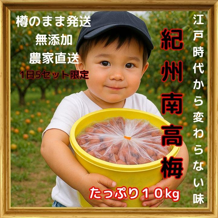 農家直送！紀州南高梅 樽 10kg つぶれ梅 無添加 和歌山 紀州 白梅