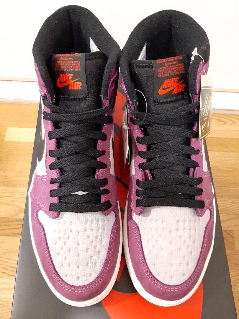 27cm Nike Air Jordan 1 Element GORE-TEX