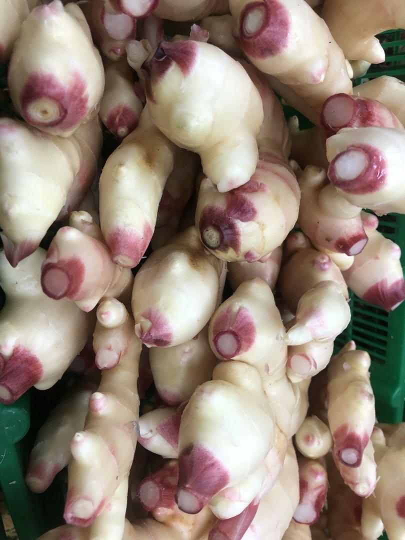 moet　朝どれ新生姜　高知県産　6kg（箱別