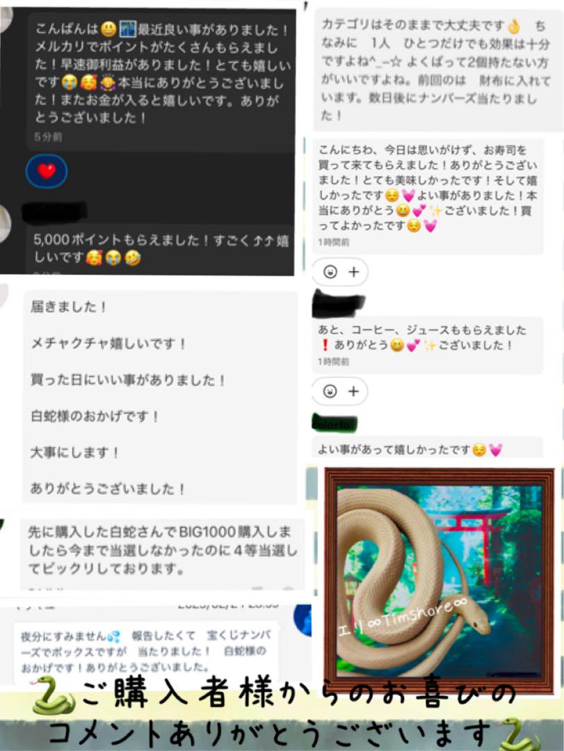 白蛇の抜け殻☆巳年生まれが育てるヘビのお守り☆開運☆金運