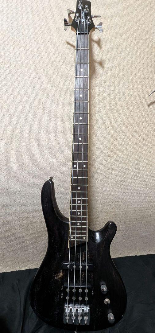 レア Bacchus シースルー SH musicman lakland風PU