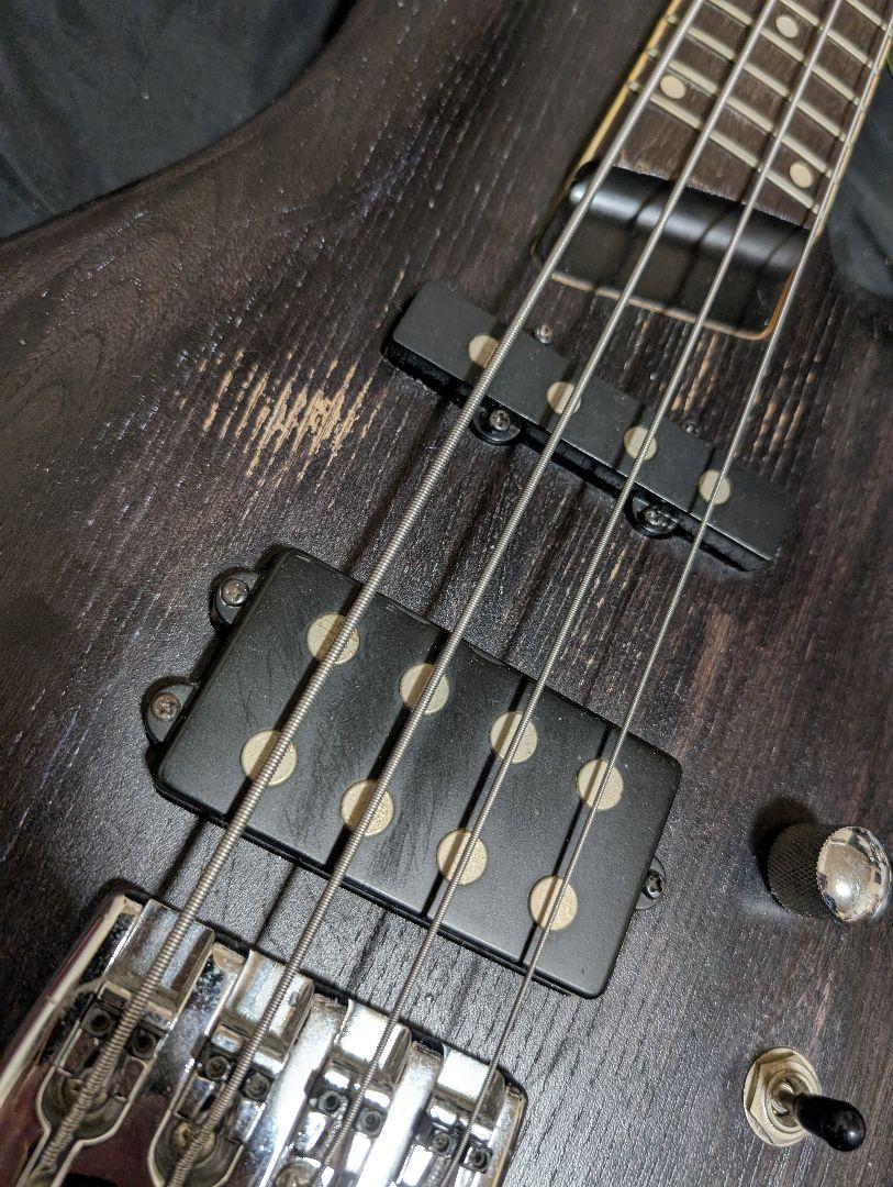 レア Bacchus シースルー SH musicman lakland風PU