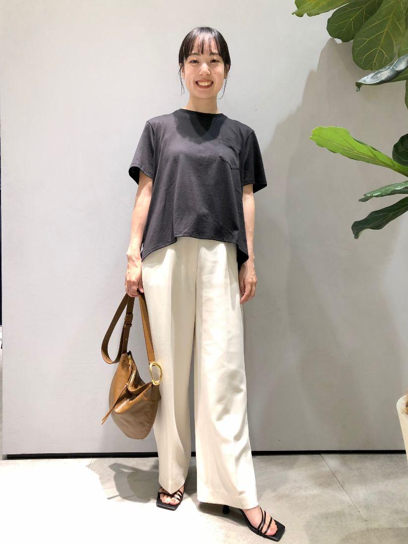 セオリー　24SS　カットソー　P　ブラック