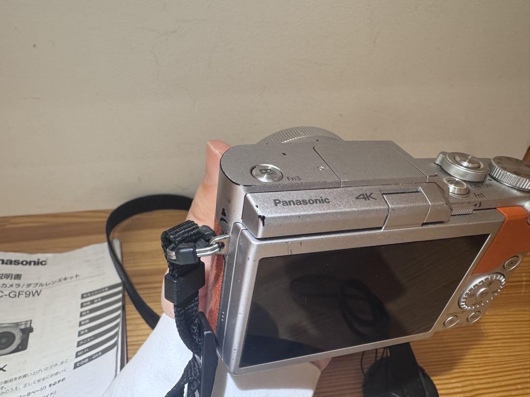 LUMIX ミラーレスカメラ DC-GF9W