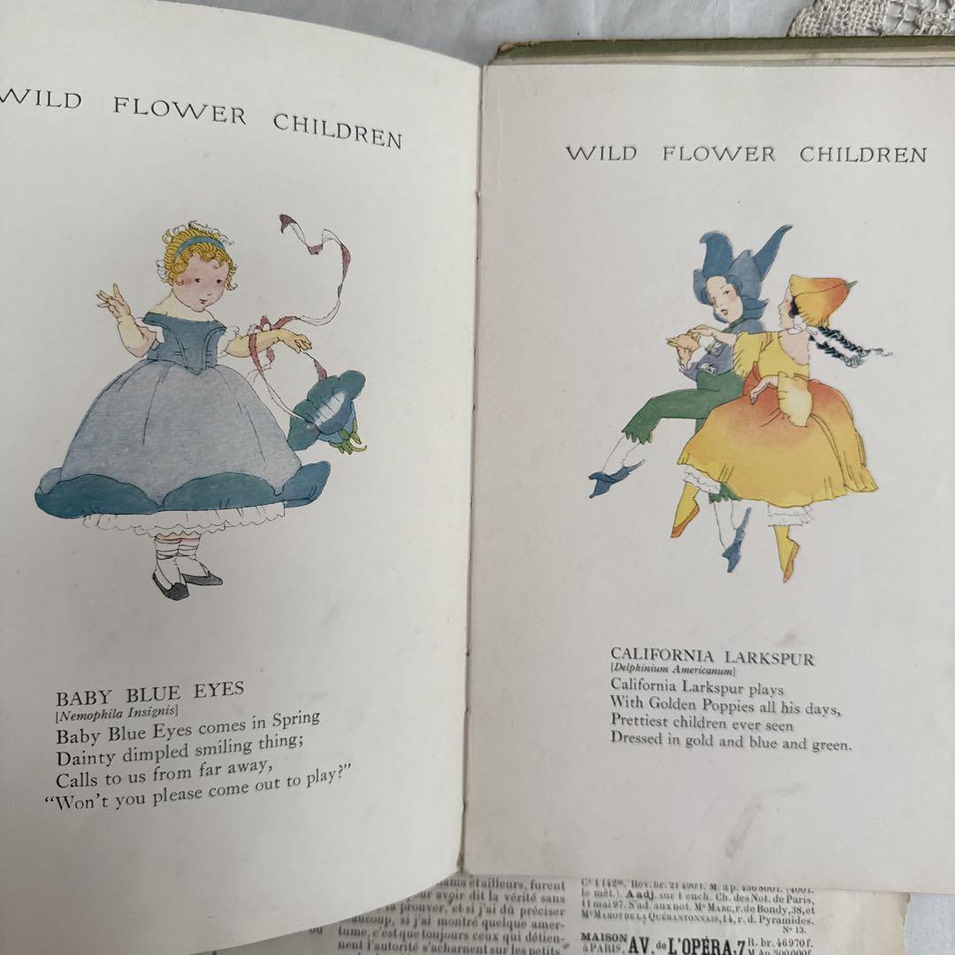 難有　挿絵を愛でるアンティーク絵本　妖精　洋書　古書ジャンクジャーナルに