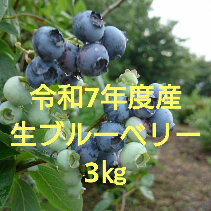 令和7年度産生ブルーベリー★3㎏(送料込み)