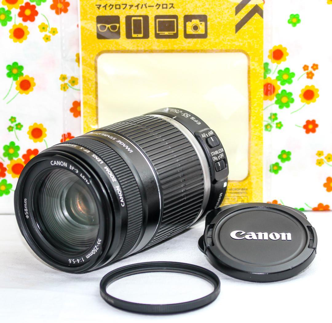 美品 キャノン Canon EF-S 55-250mm IS☆お手軽望遠レンズ♪ 美品 キャノン Canon EF-S 55-250mm IS☆お手軽望遠レンズ♪
