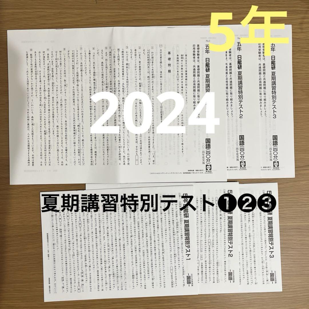 2024年 日能研5年 夏期講習特別テスト❶❷❸