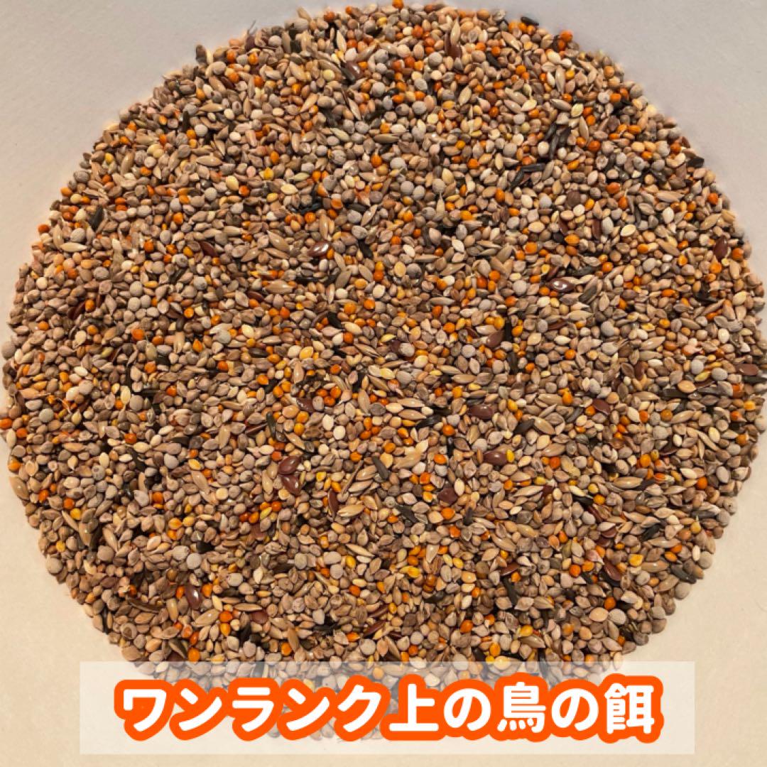 アラタ ワンバードアミーゴ 野鳥のまき餌 4kg | ペット用品