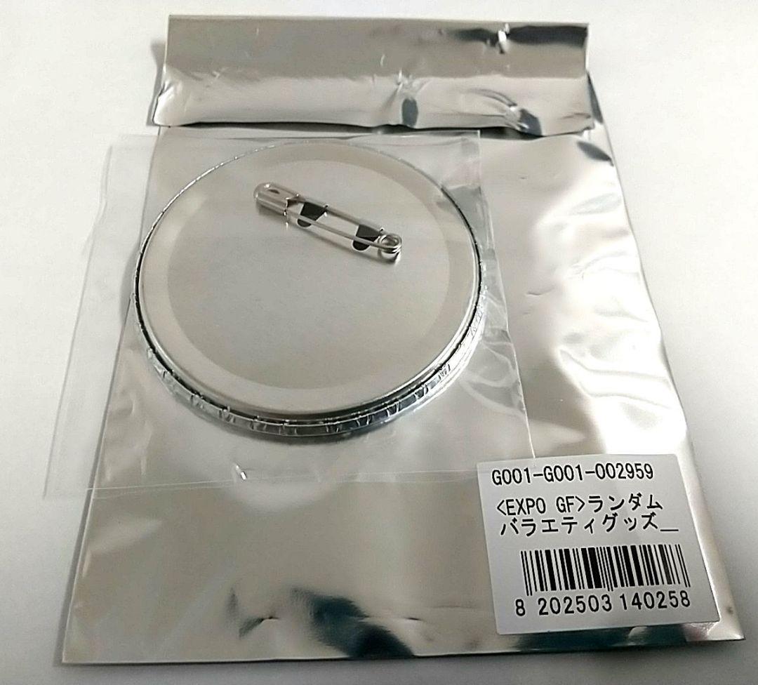 匿名発送 GLAY EXPO ランダムグッズ 缶バッジ TERU JIRO