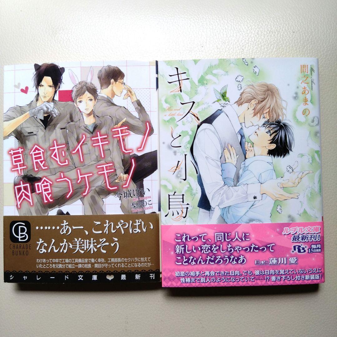BL小説　まとめ売り Amazon.co.jp: 凪良ゆう BL小説 まとめ売り 32冊 小説 商業BL bl