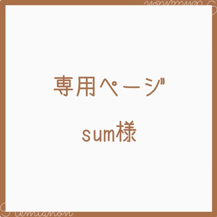 sum様 専用ページ www.pegasusforkids.com