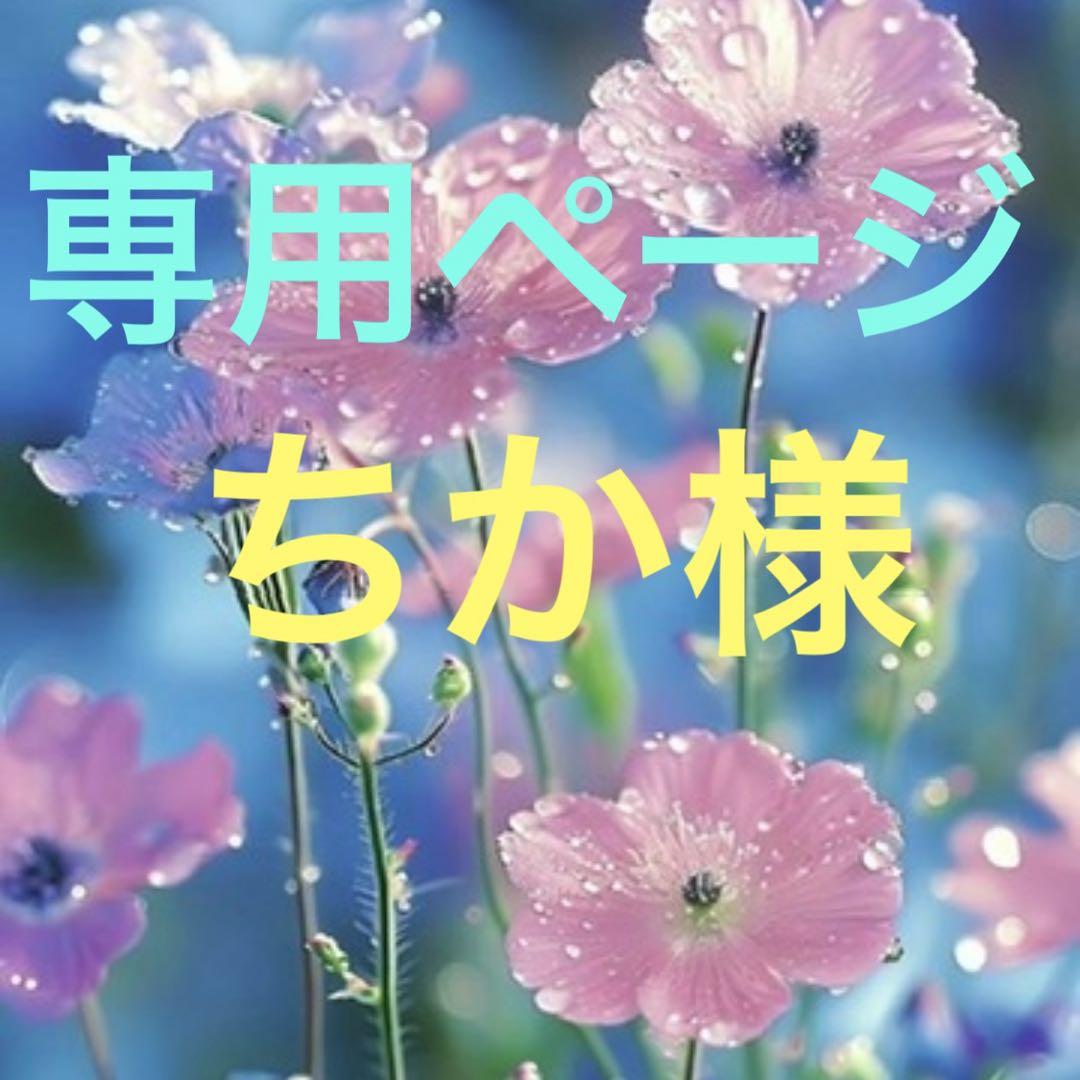 専用ページ　ちか様　ま無害シリコンモールド