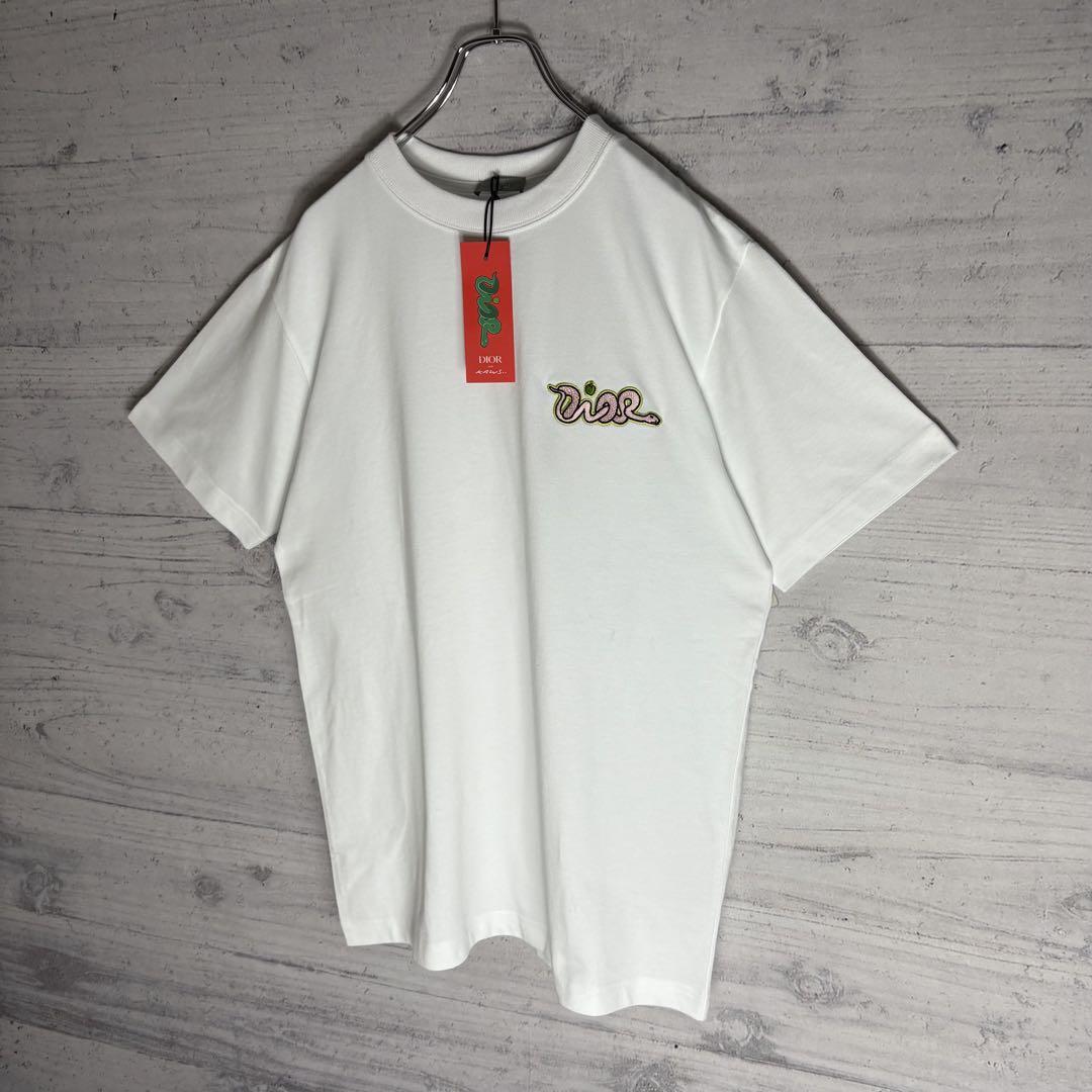 【正規品】 Tシャツ KAWS AND 新作✨️未使用品✨️DIOR ロゴ刺繍 M 箱付き トップス
