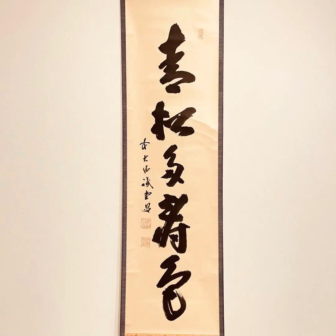 美品 2428 尋牛斎「青松寿色多」 共箱 肉筆 紙本 書