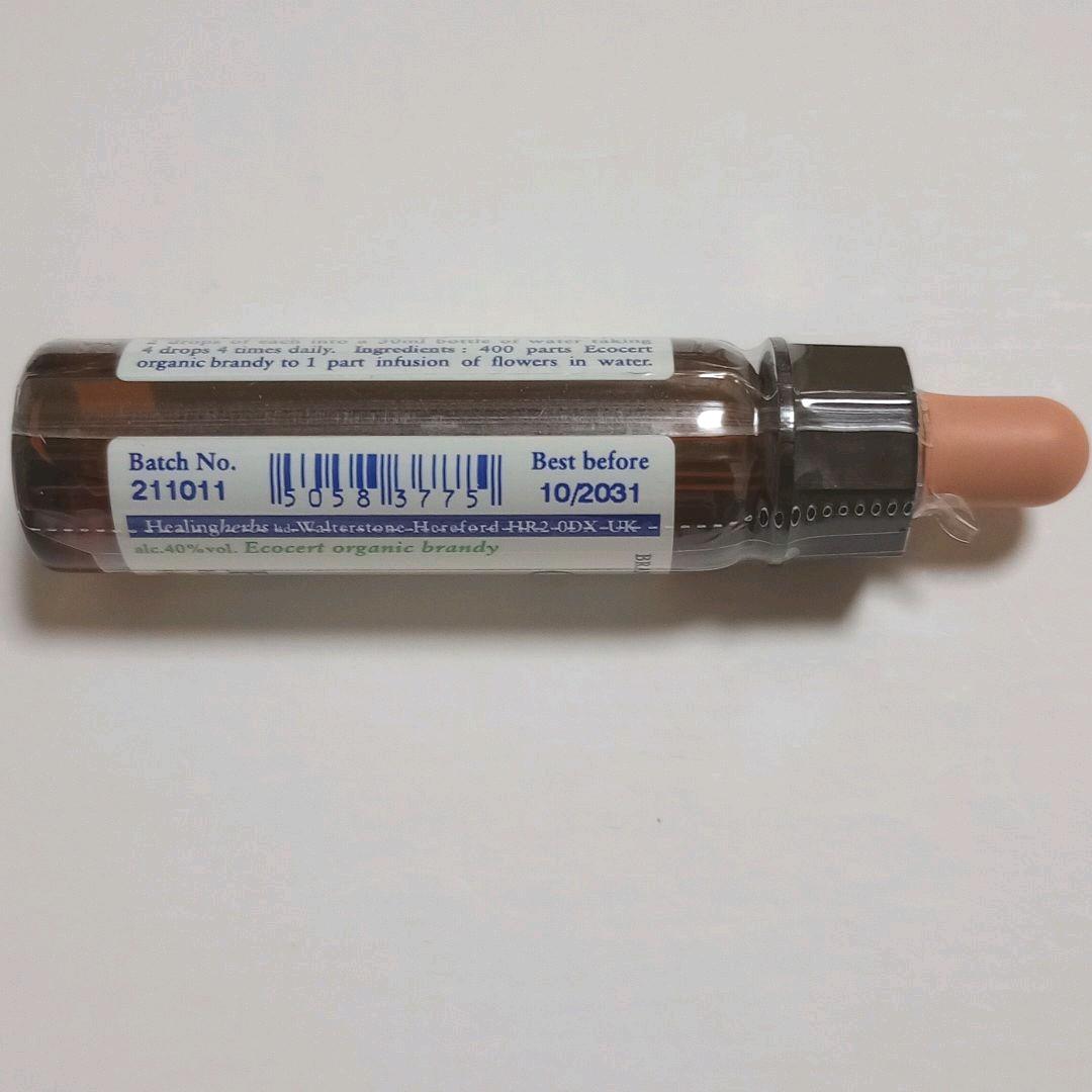 30.スィートチェストナット《10ml》 フラワーエッセンスヒーリングハーブス社 - メルカリ 30.スィートチェストナット《10ml》 フラワーエッセンスヒーリングハーブス社 - メルカリ