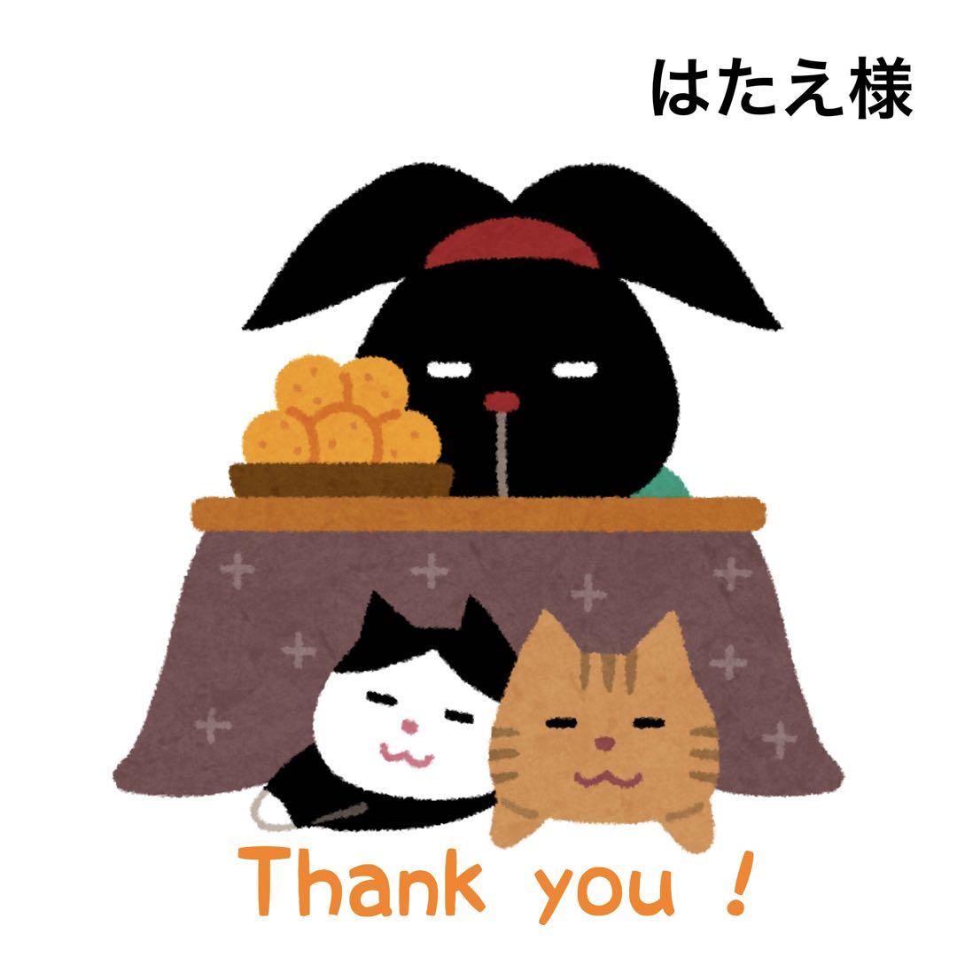 1/4.5 はたえ様