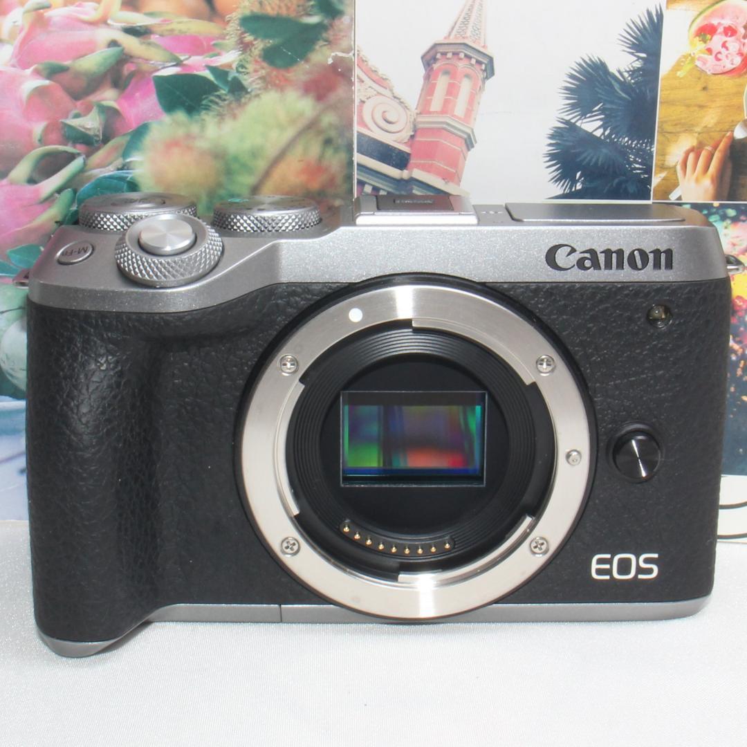 ❤️予備バッテリー付❤️キャノン EOS 6d マーク ii ダブル