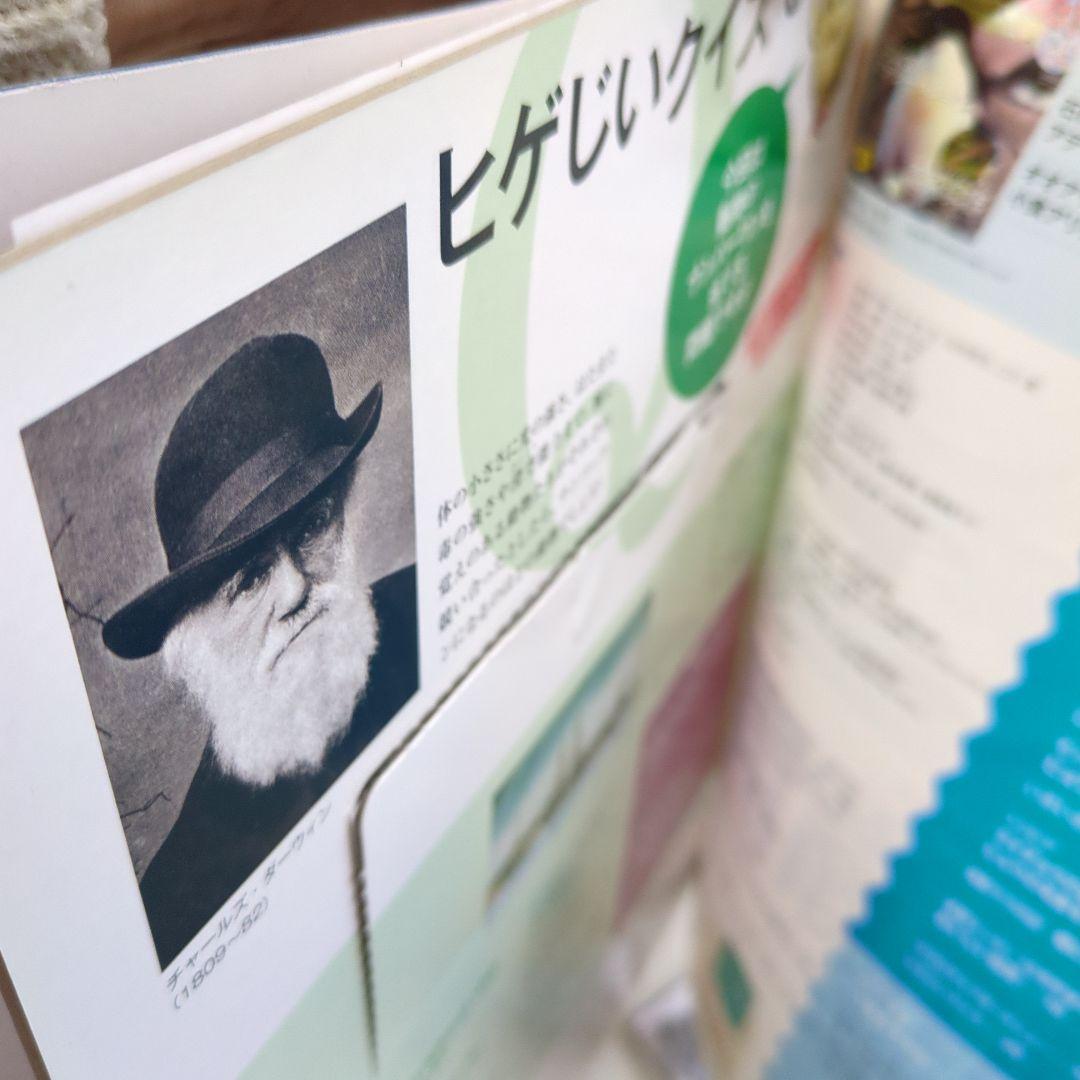 DVDブックダーウィンが来た! 4〜6巻 - メルカリ DVDブックダーウィンが来た! 4〜6巻 - メルカリ