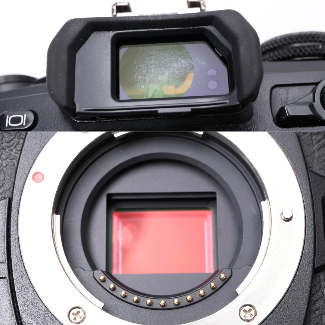 OLYMPUS OM-D E-M1 Mark II 実用品