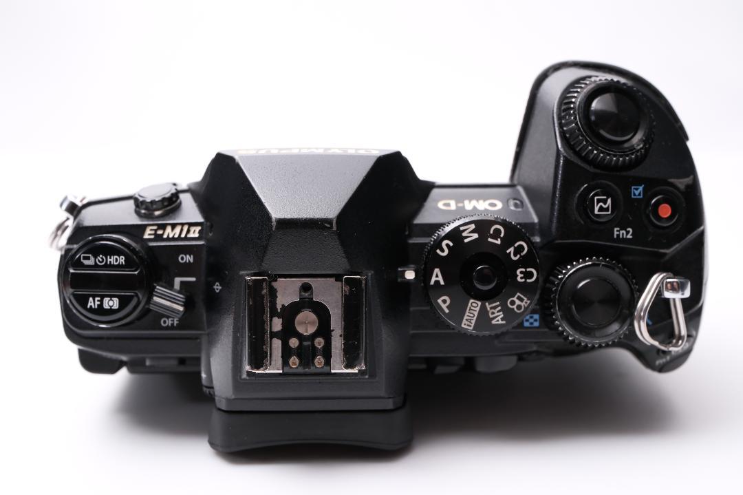 OLYMPUS OM-D E-M1 Mark II 実用品
