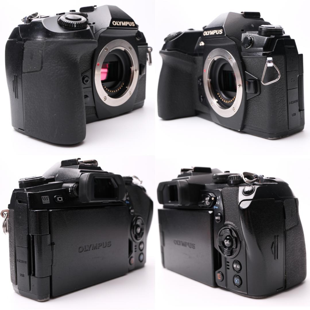 OLYMPUS OM-D E-M1 Mark II 実用品