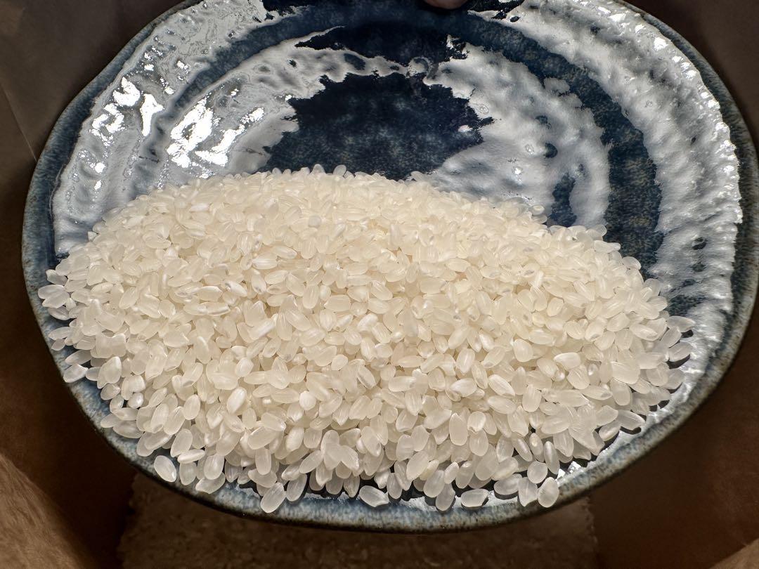 【数量限定！新潟県産コシヒカリ R6年産】風間農場 コシヒカリ 5kg×2