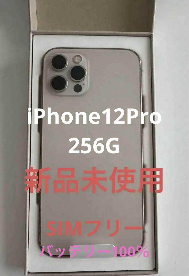 Apple iPhone 12 Pro - 256 GB - Graphite (Unlocked) for sale