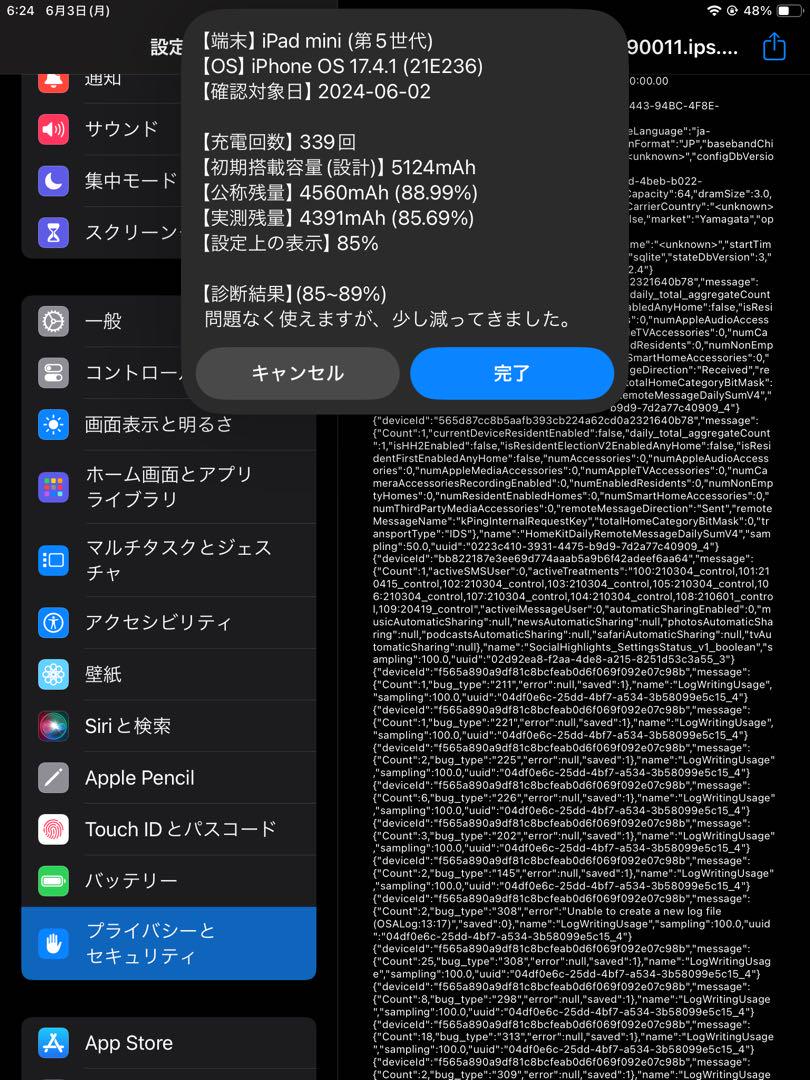 アップル iPad mini 第五世代 64G 画像4