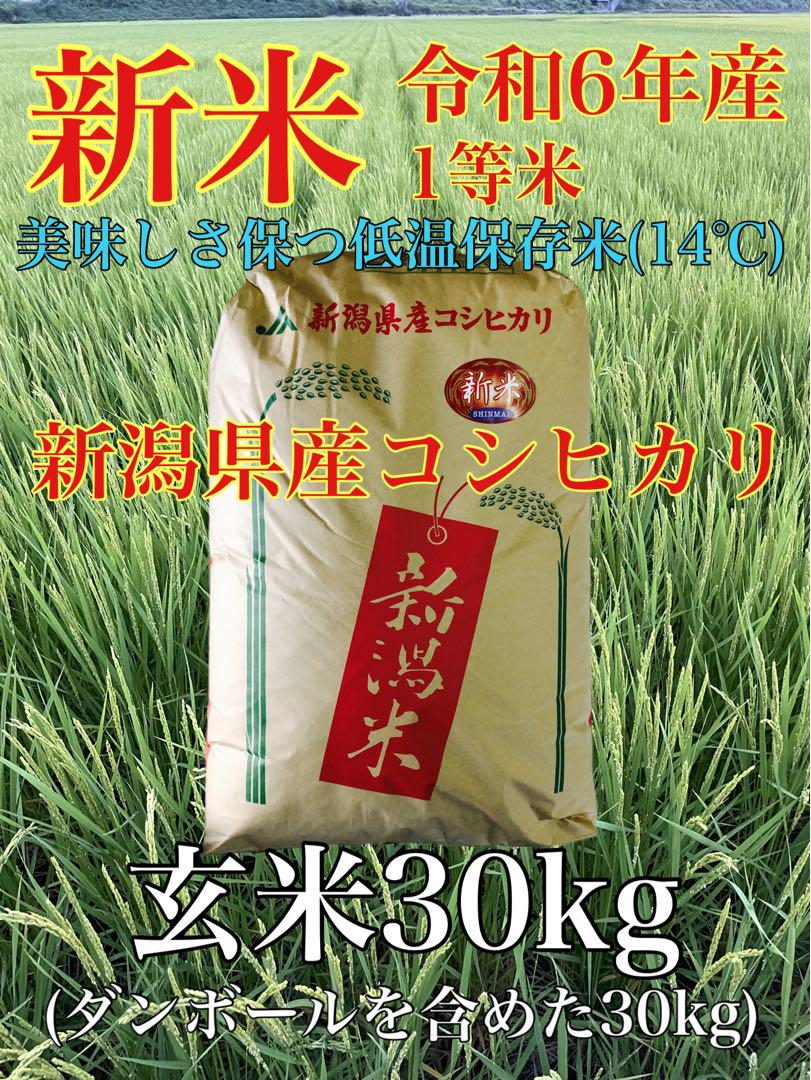 令和6年産　新潟県産コシヒカリ一等米(玄米)30k 低温14°保存米