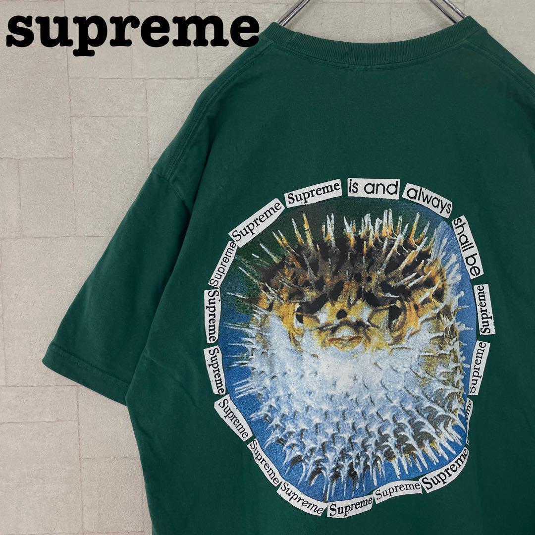 【人気Lサイズ】シュプリーム☆バックビックロゴ　半袖Tシャツ　レアデザイン334