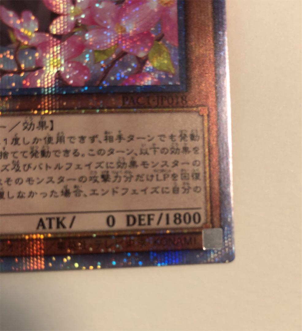 NEW低価 遊戯王 イラスト違い プリズマティックシークレット PT4vo-m18562937366 儚無みずき 特別大特価
