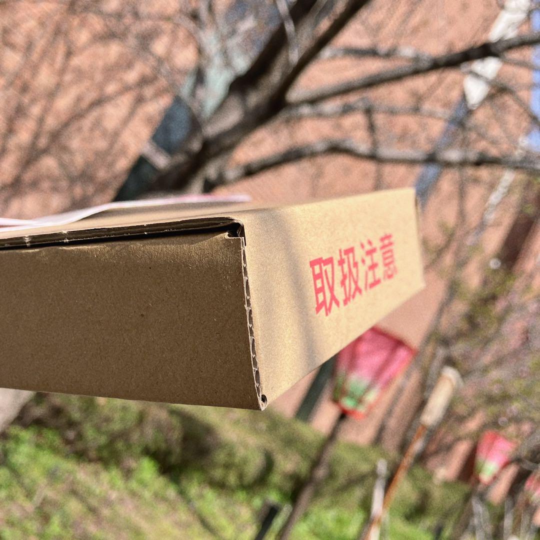 造幣局　令和7年　プルーフ　桜通り抜け