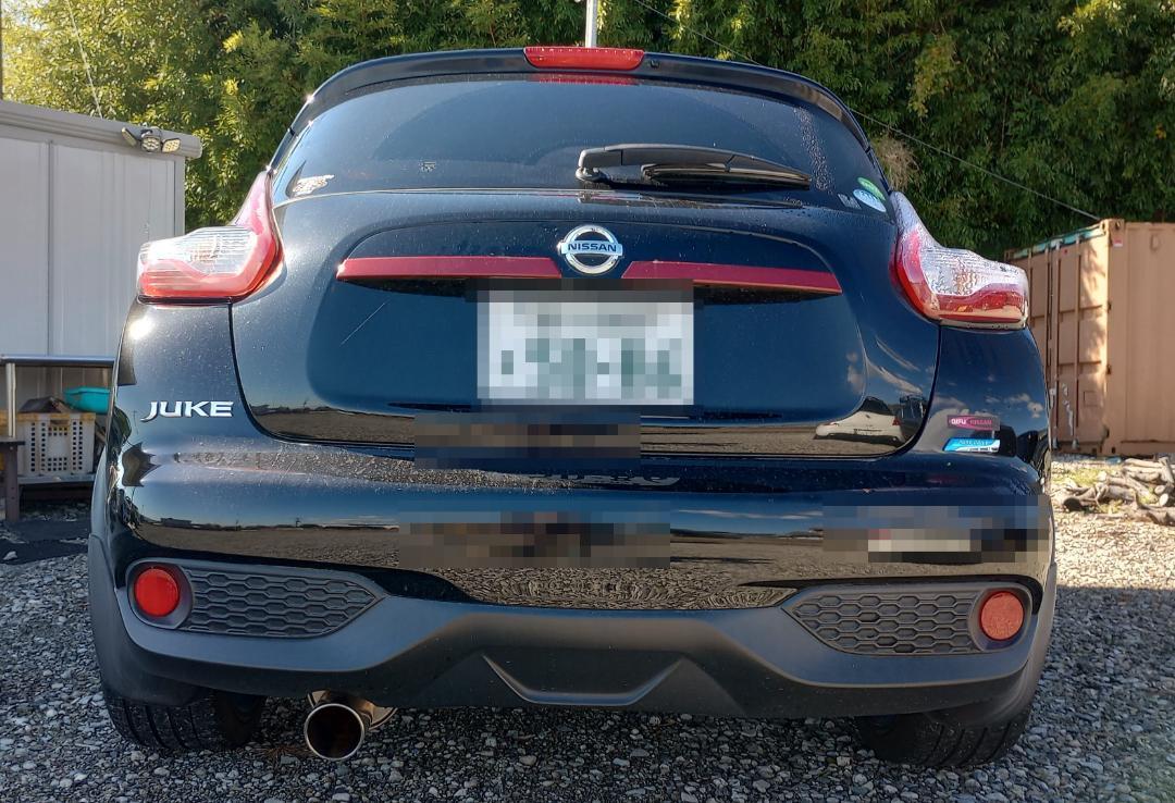 専用 ブリッツ 車高調(DAMPER ZZ-R) ジューク F15 YF15 画像12