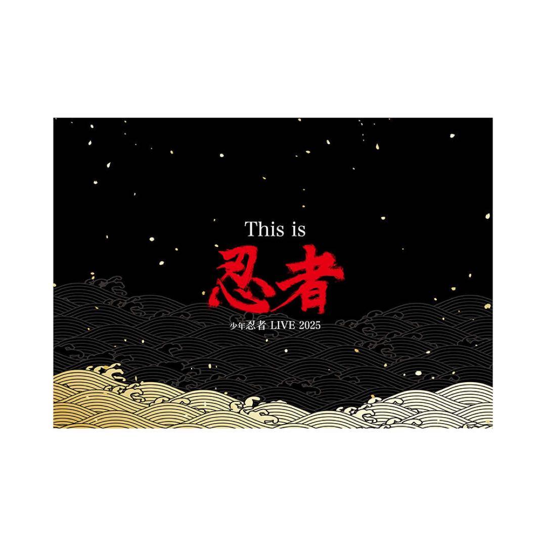 少年忍者 コレクションカード 忍コレ