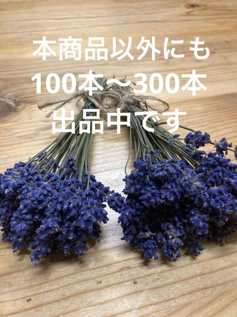 バラ ユーカリ ラベンダー 数百本 ドライフラワー