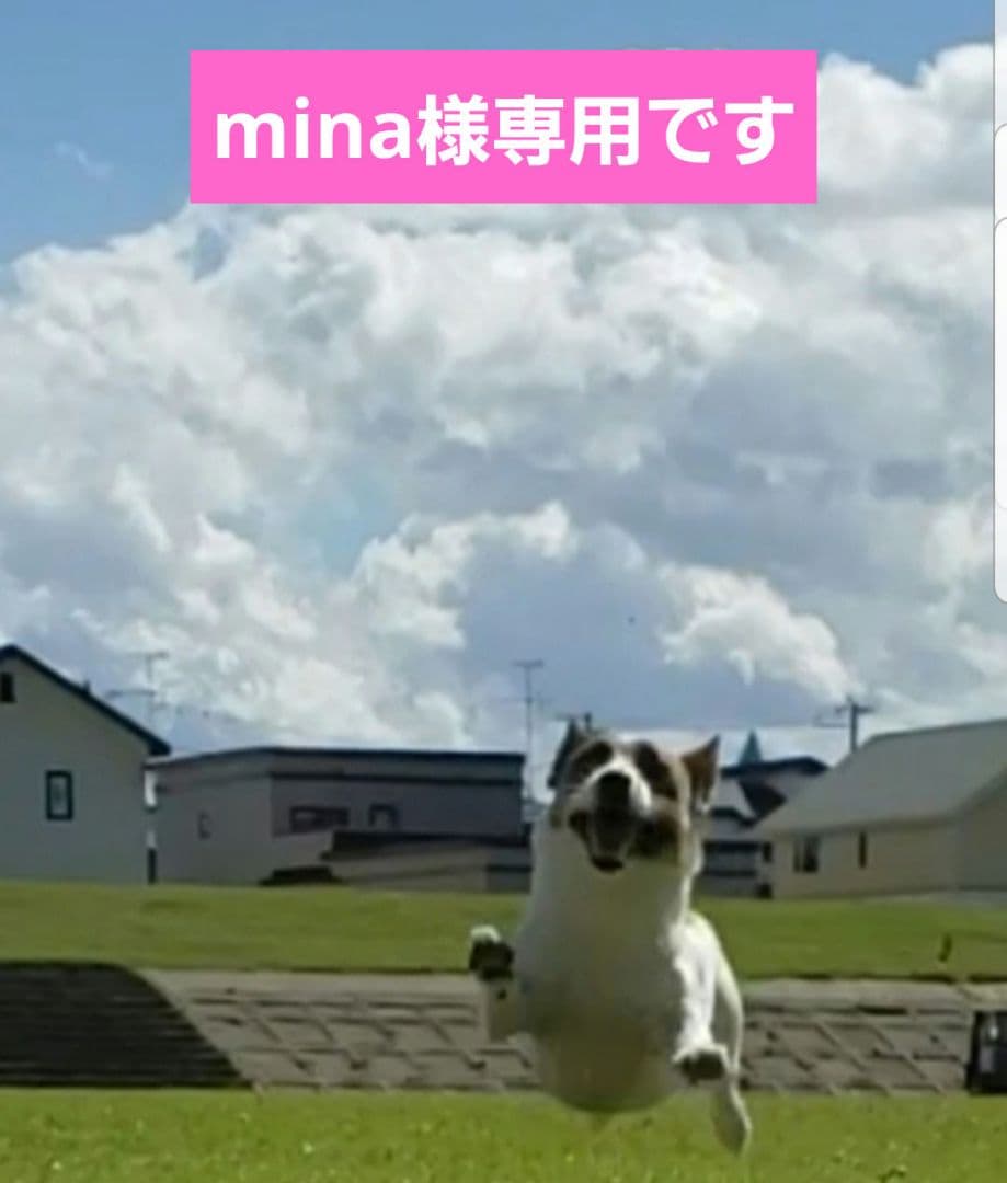 ♡mina様専用です♡