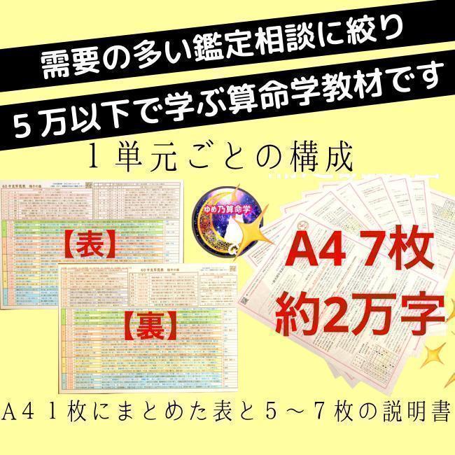 11,000引】ゆめ乃算命学 本気のフルハウス 算命学 独学 - メルカリ