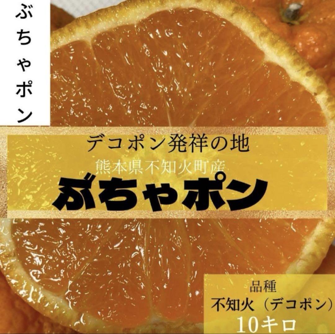 デコポン発祥の地!本場の不知火(デコポン)みかん 大容量セール 小玉
