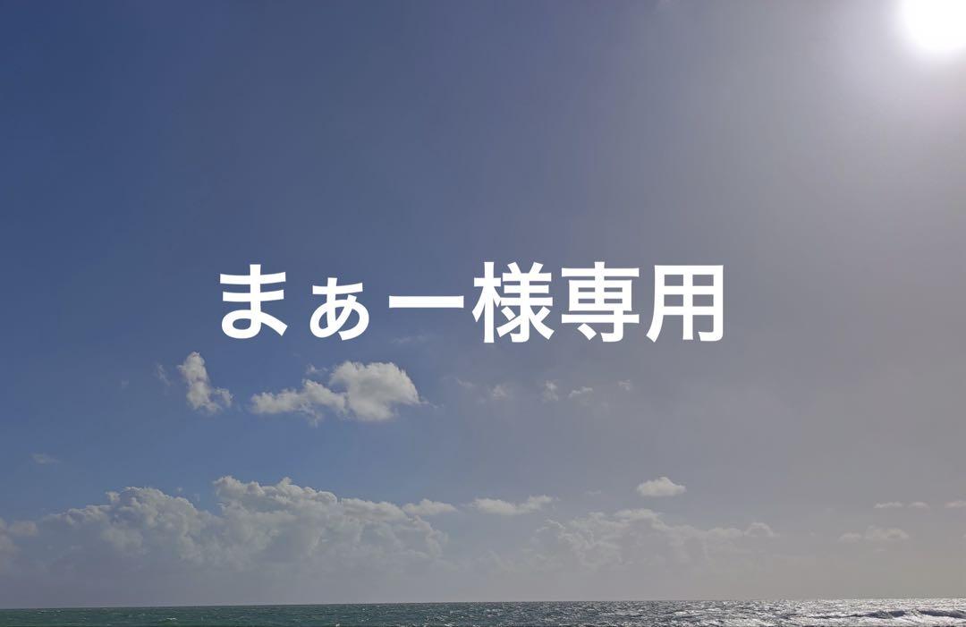 まぁー様 リクエスト 2点 まとめ商品