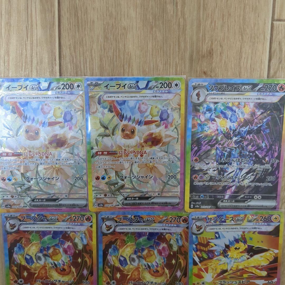 テラスタルフェス SAR 9枚