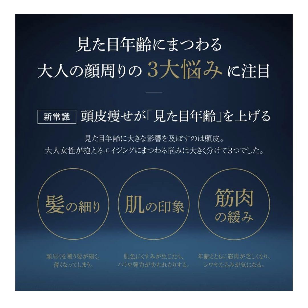 【新品・２点】ARTISTIC＆CO. ザ ブラシュ　トリートメント 400ml