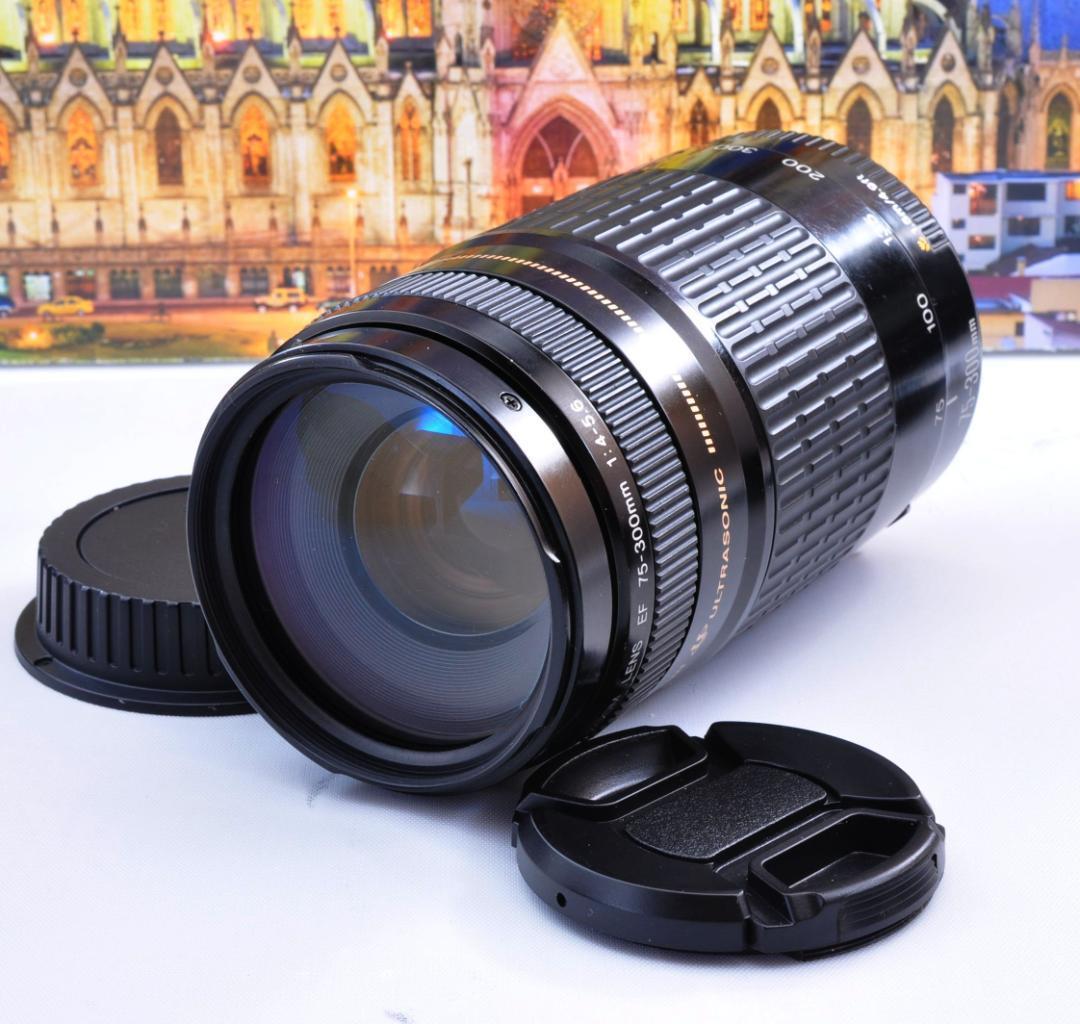 ♥もっと遠くへ！Canon キヤノン 望遠レンズ EF75-300mm キャノン